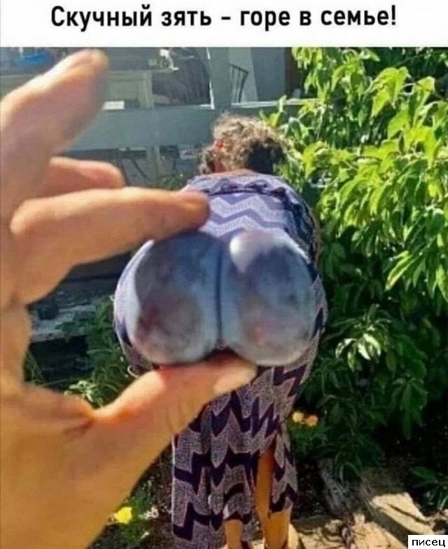 Все приколы Октября. Праздник каждый день!