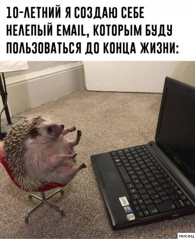 Все приколы Октября. Ржунимагу!