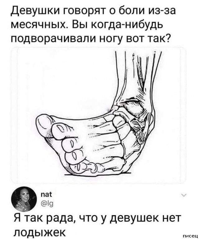 25 октябрьских приколов из соцсетей