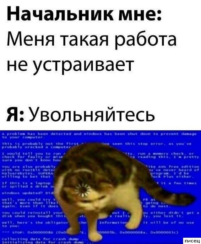 На работе свои приколы. Здесь только Хиты!