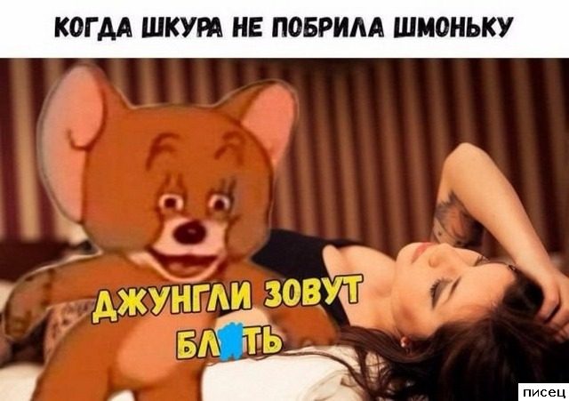 Кайфовые приколы в стиле «Когда...»