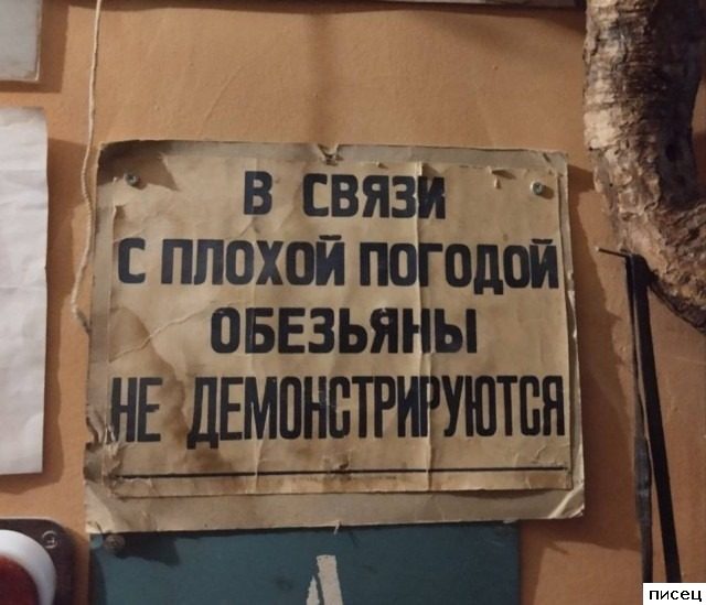 17 угарных примеров, когда &quot;кратко, чётко и понятно&quot;