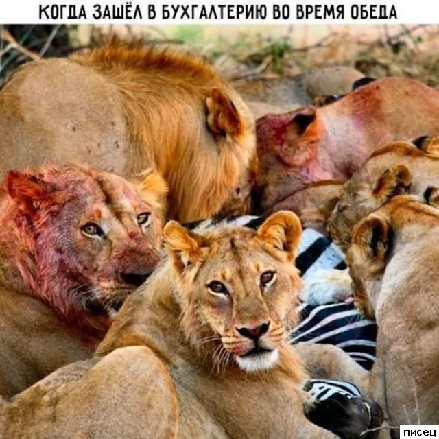 На работе свои приколы. Здесь только Хиты!