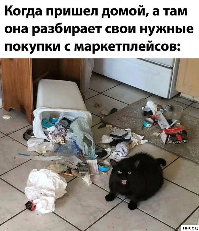 Кайфовые приколы в стиле «Когда...»