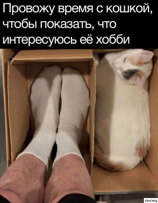 Все приколы интернета. Класс!