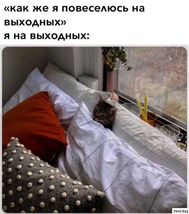 Все приколы интернета. Класс!