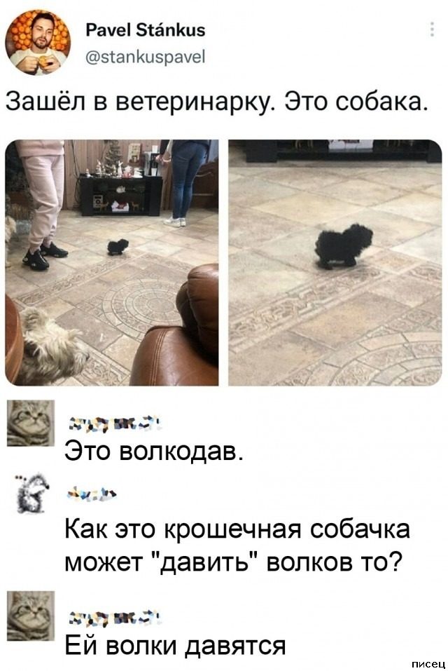 В социальных сетях снова отжигают! Супер!