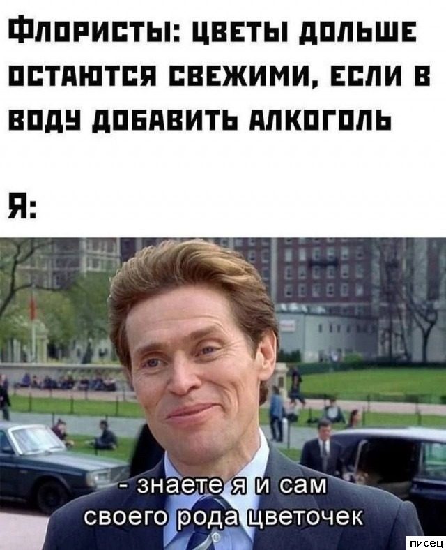 Приколы про алкоголь. Я балдею!