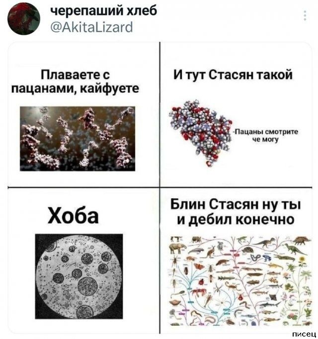 Октябрьские приколы из социальных сетей. Класс!