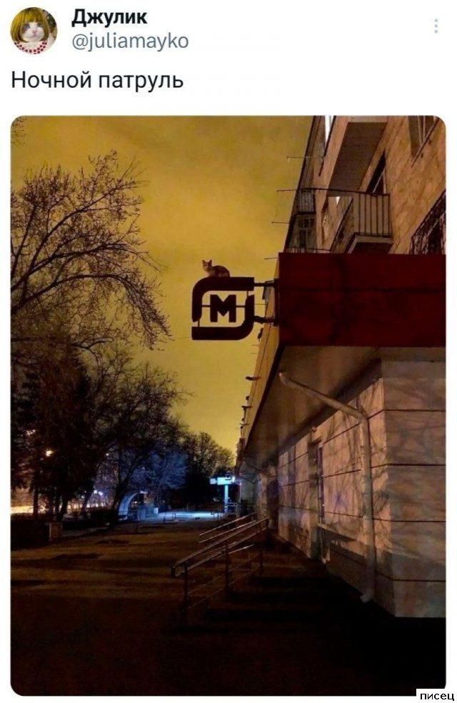 В социальных сетях снова отжигают! Супер!