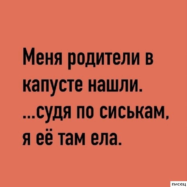 Прикольные цитаты. В самую точку!