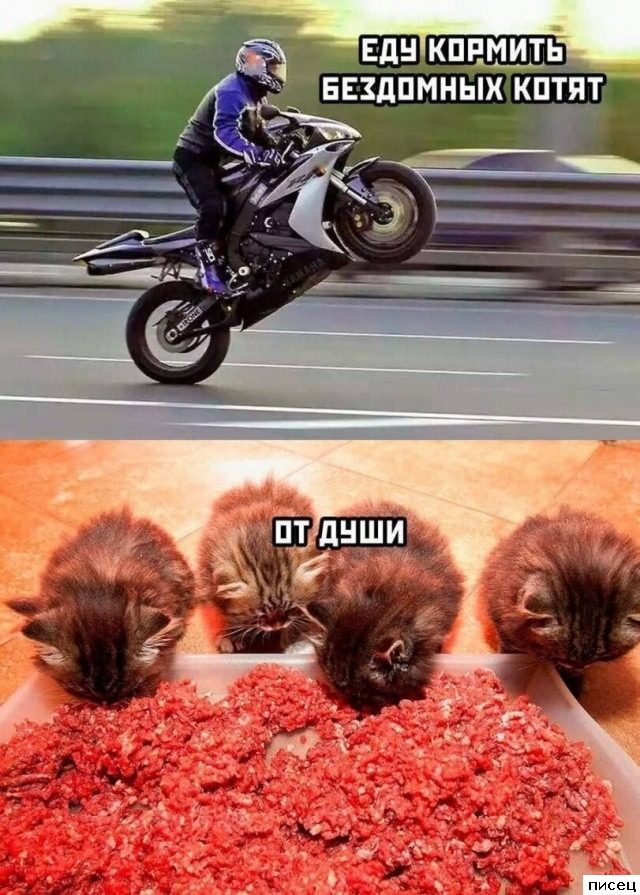 Чёрный юмор со всего интернета. Кайф!