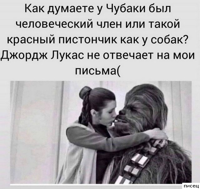 Все приколы Ноября. Праздник каждый день!