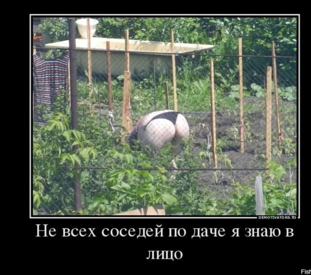 Дачные приколы