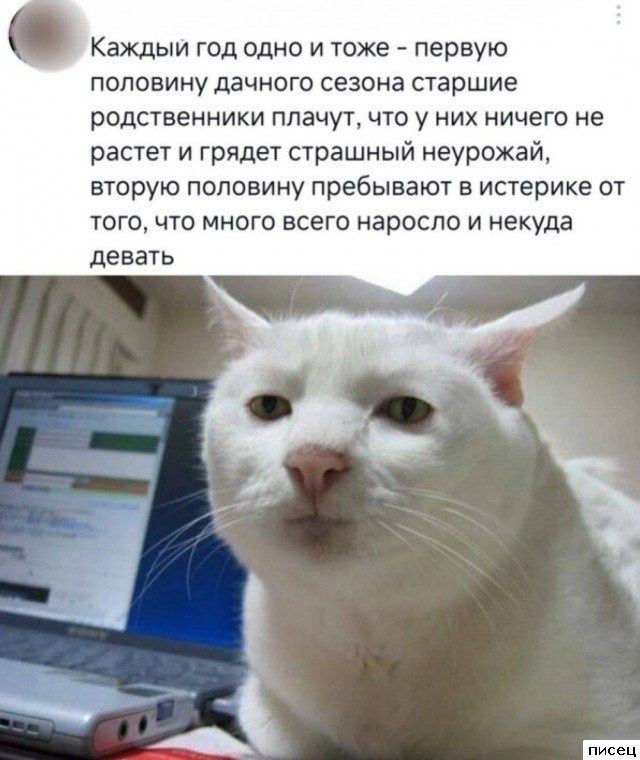 Дачные приколы