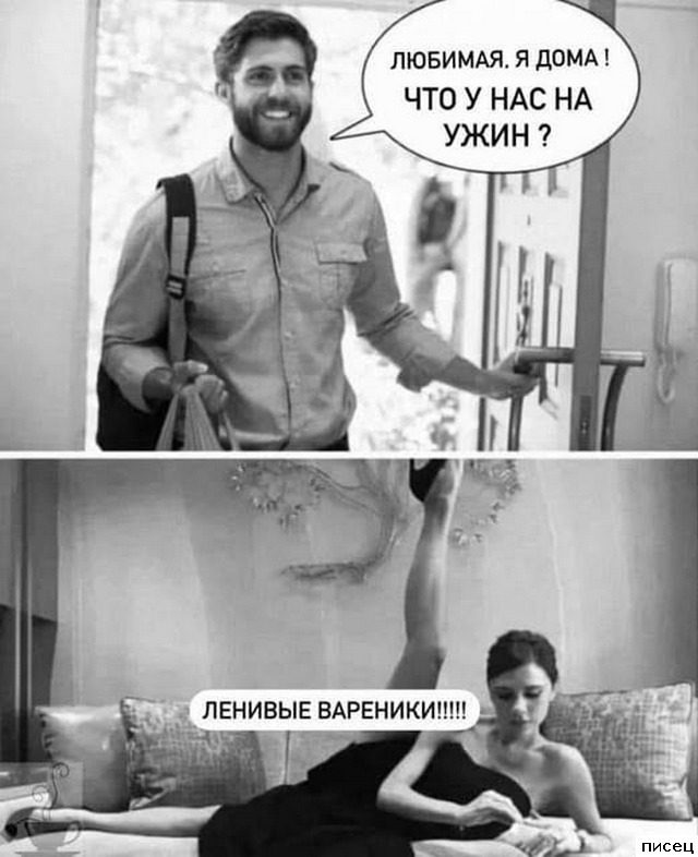 Все приколы Ноября. Праздник каждый день!