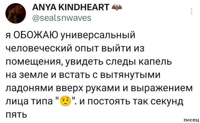 Ноябрьские приколы из социальных сетей