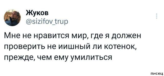 Ноябрьские приколы из социальных сетей