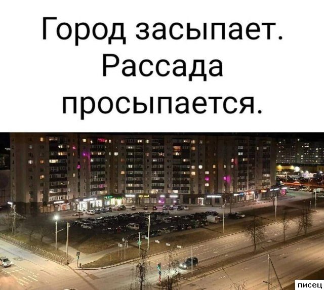 Дачные приколы