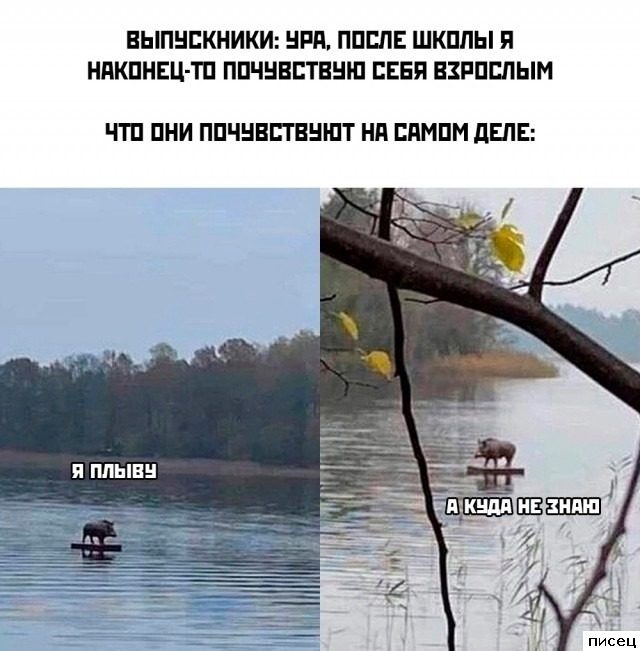 Все приколы Ноября. Праздник каждый день!