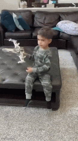 Приколы про детей