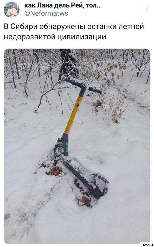 Ноябрьские приколы из социальных сетей