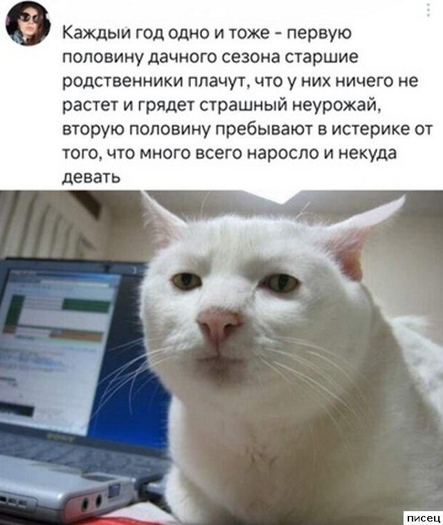 Дачные приколы