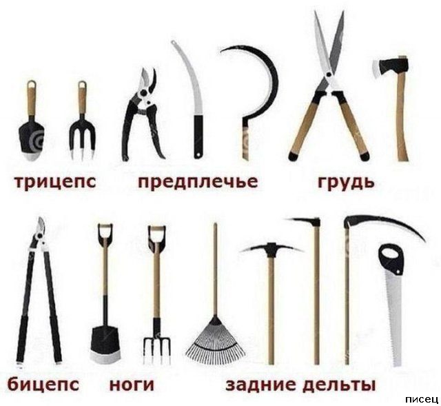 Дачные приколы