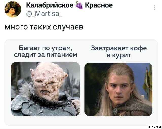 Ноябрьские приколы из социальных сетей