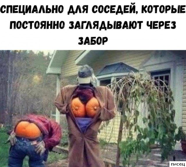 Дачные приколы