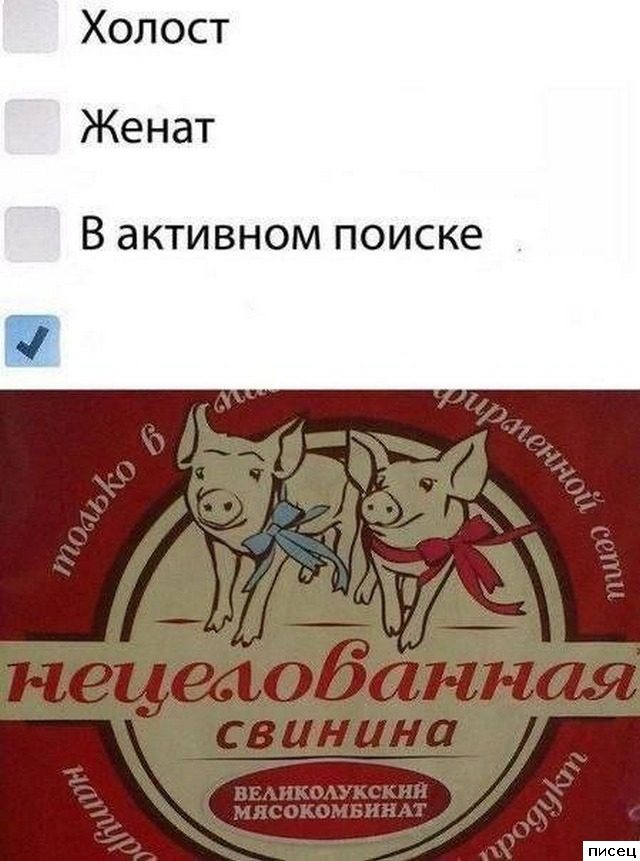 Все приколы Ноября. Праздник каждый день!