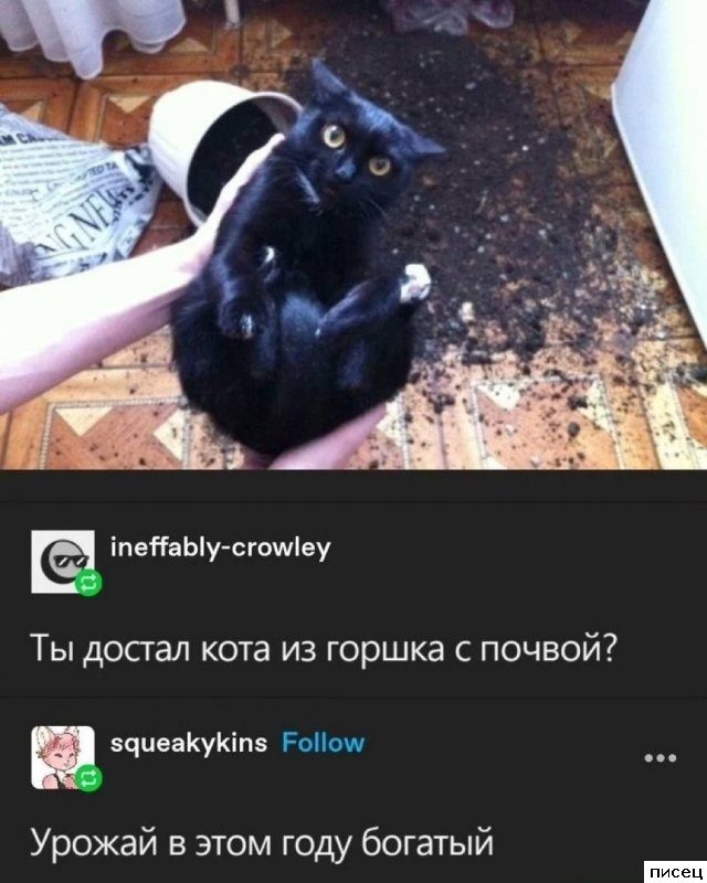 Все прикольные комментарии