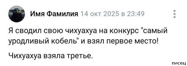 Все прикольные комментарии