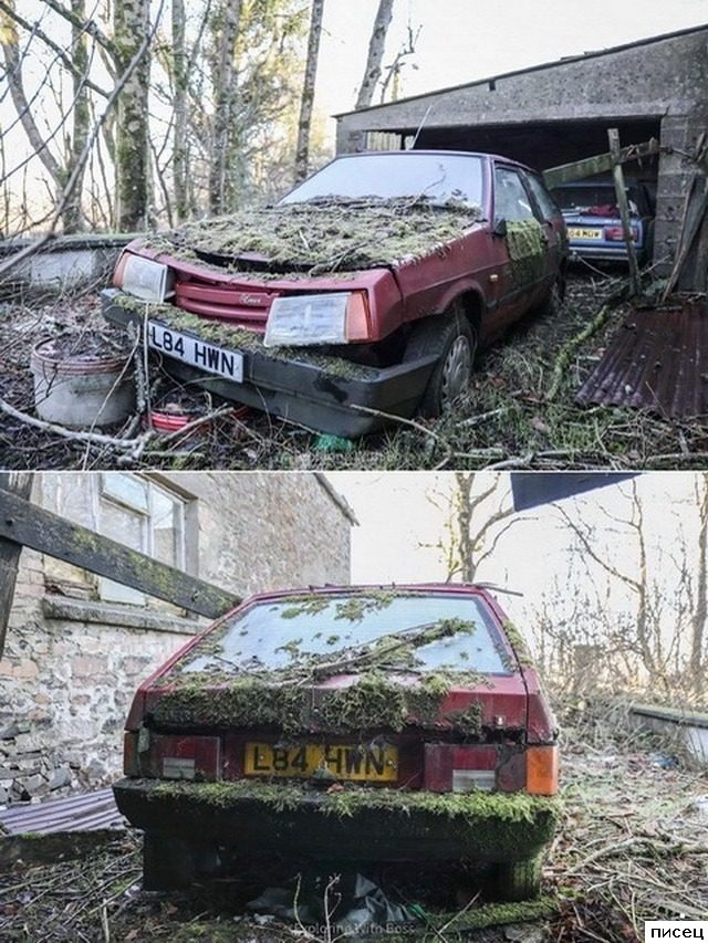 Автомобильная ржака дня. Великолепно!