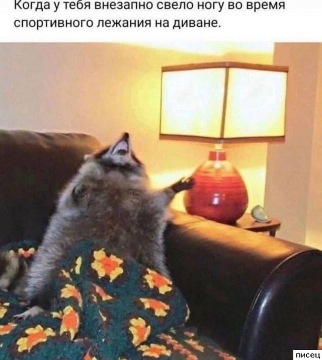 Кайфовые приколы в стиле «Когда...». Лайк!