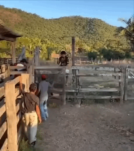 Замечательные анимированные приколы