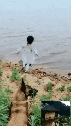 Замечательные анимированные приколы