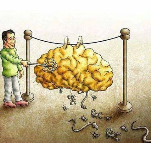 Смысловые приколы дня