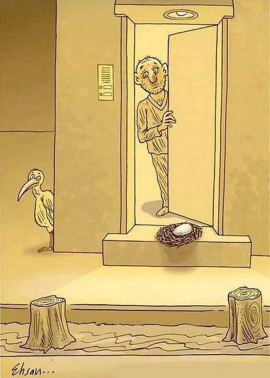 Смысловые приколы дня