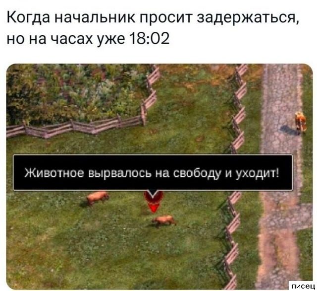 Кайфовые приколы в стиле «Когда...». Великолепно!