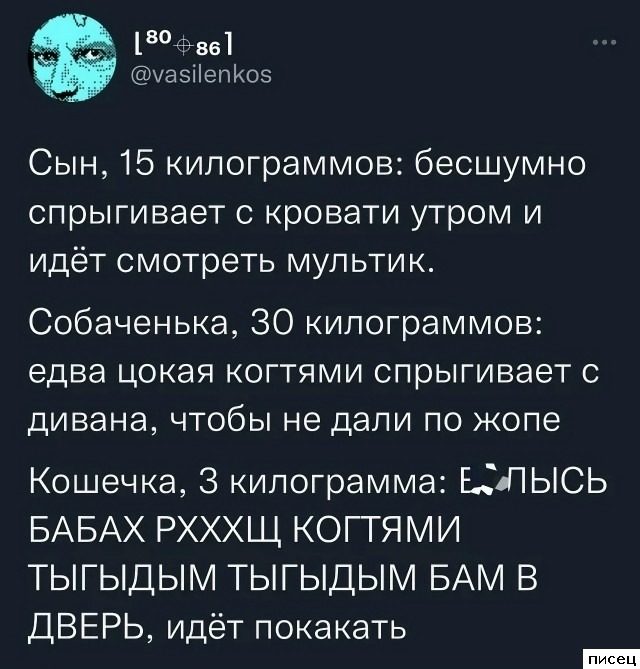 25 ноябрьских приколов из соцсетей