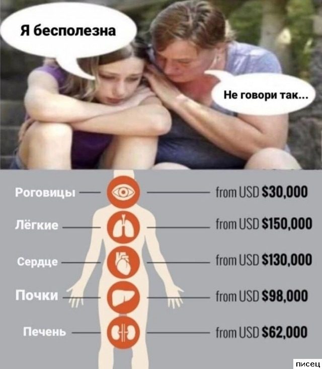 Все приколы Ноября. Шикардятина!