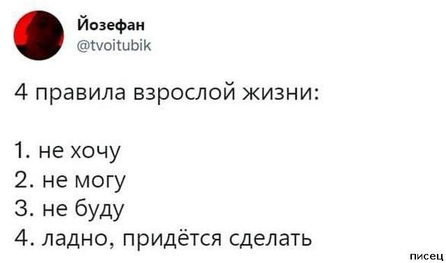 25 ноябрьских приколов из соцсетей