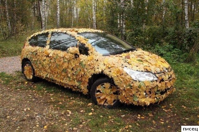 Автомобильные приколы дня. Великолепно!