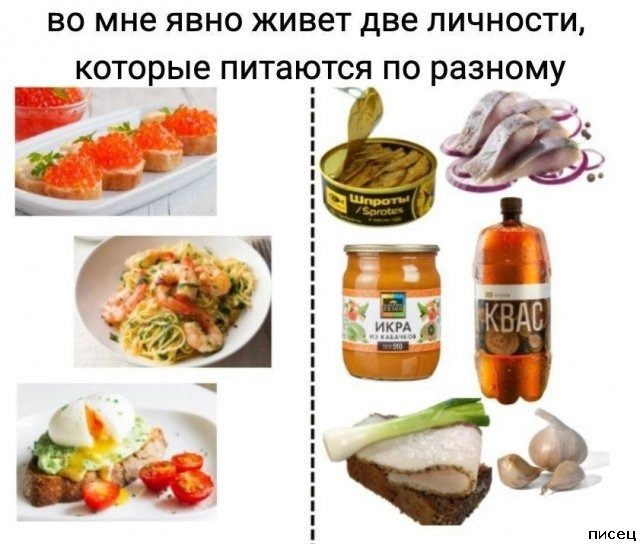 Все приколы Ноября. Шикардятина!