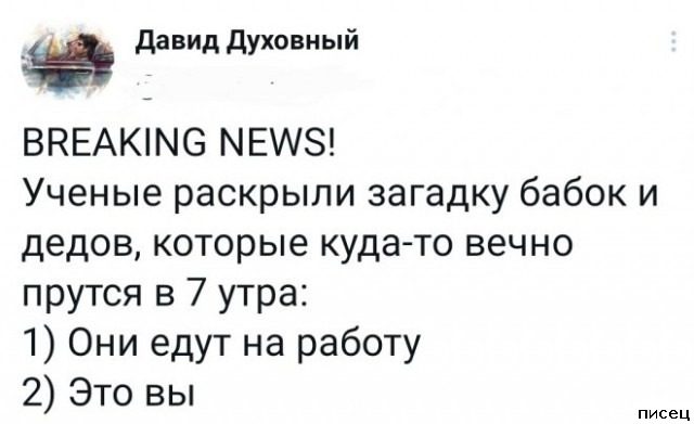 25 ноябрьских приколов из соцсетей