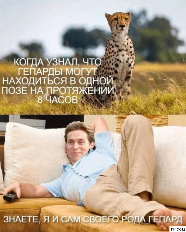 Кайфовые приколы в стиле «Когда...». Супер!