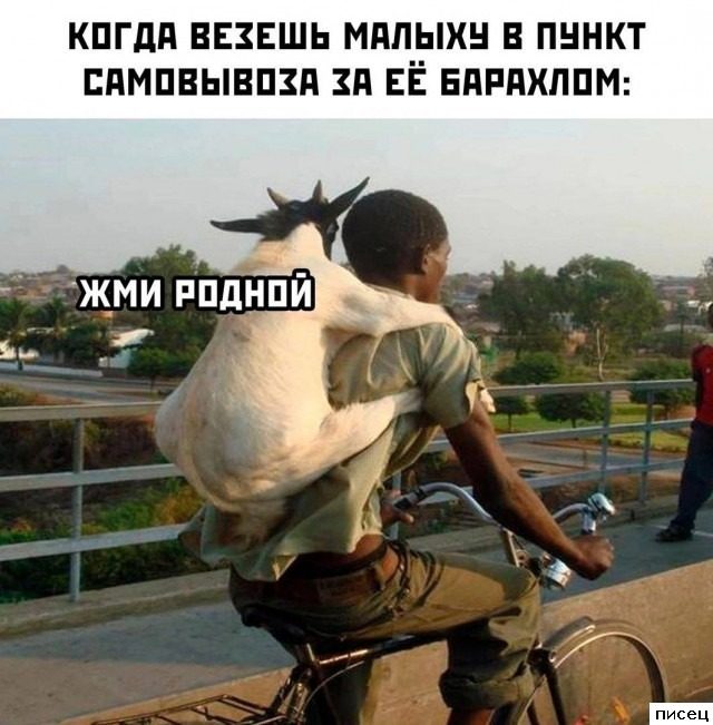 Кайфовые приколы в стиле «Когда...». Супер!