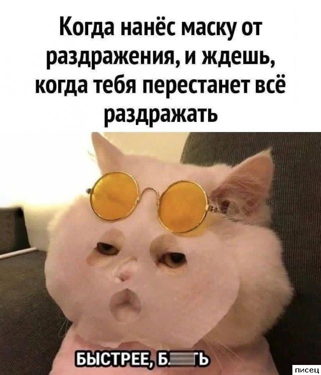 Кайфовые приколы в стиле «Когда...». Супер!