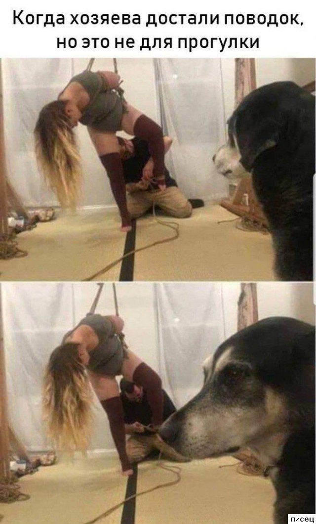 Кайфовые приколы в стиле «Когда...». Супер!